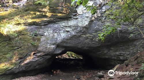 Rock Bridge Memorial State Park