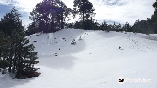 Parque Nacional Nevado de Colima