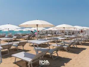 MoMà Exclusive Beach