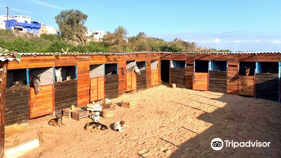 Essaouira
