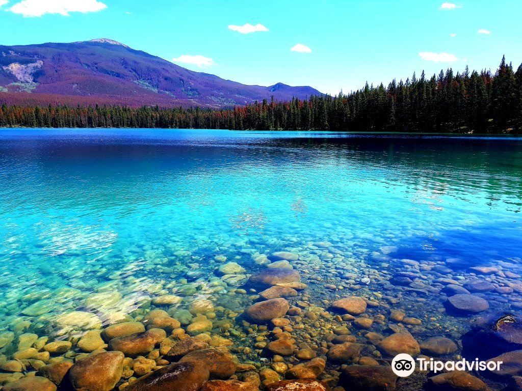 Annette Lake