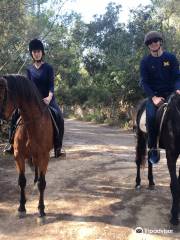 Mallorca Horses