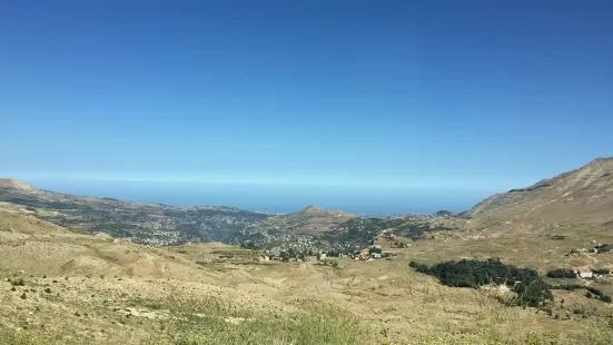 Cedars Of God Bsharri