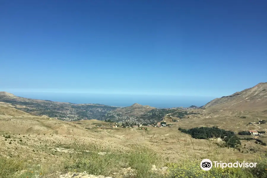 Foresta dei cedri di Dio