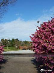 Golf Cart Paths