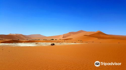 Namib Desert