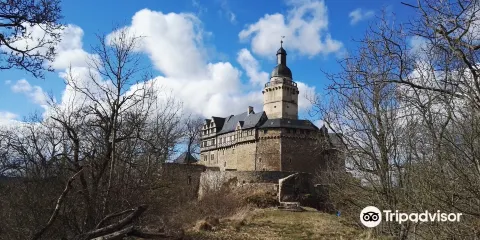Burg Falkenstein