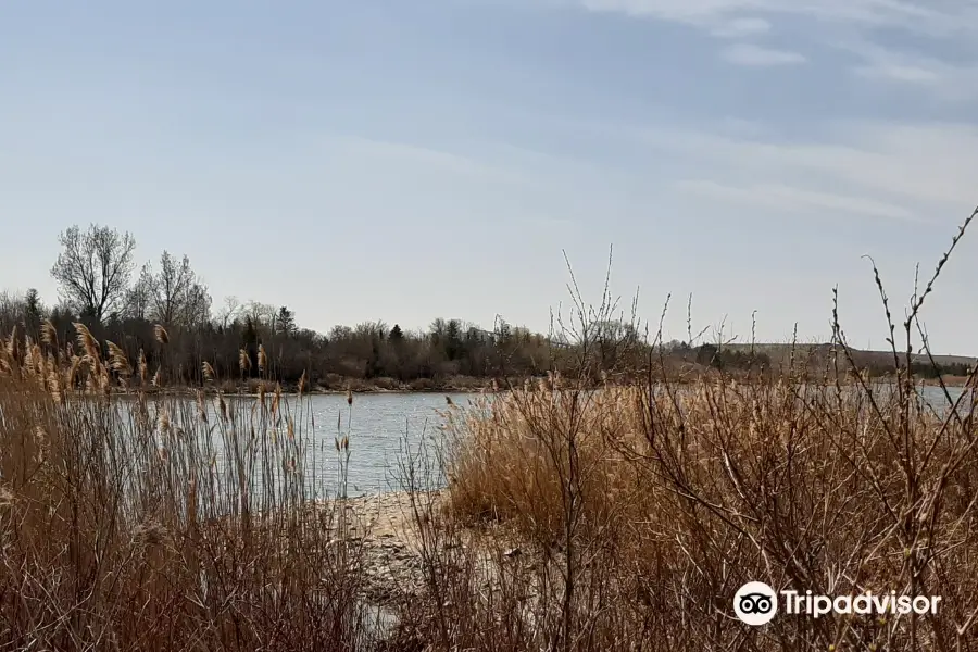 Bowmanville Harbour Conservation Area