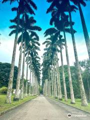 Jardins Botaniques d'Aburi