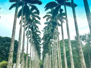Jardín Botánico Aburi
