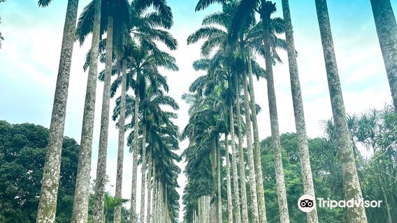 Jardín Botánico Aburi