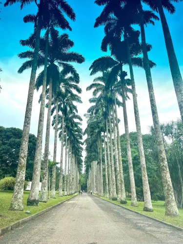 Aburi Botanical Gardens & Park | TortoisePath.com