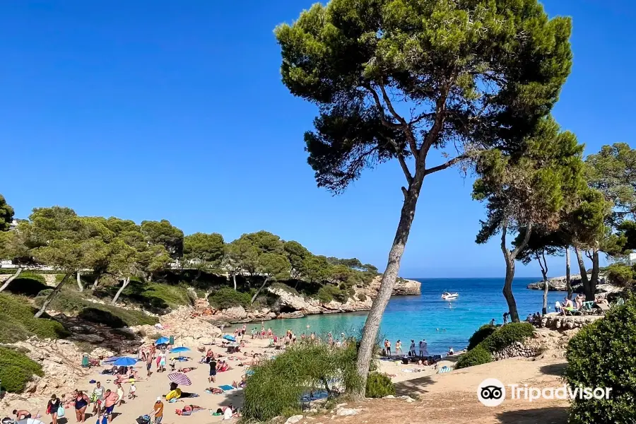 Cala Esmeralda Beach