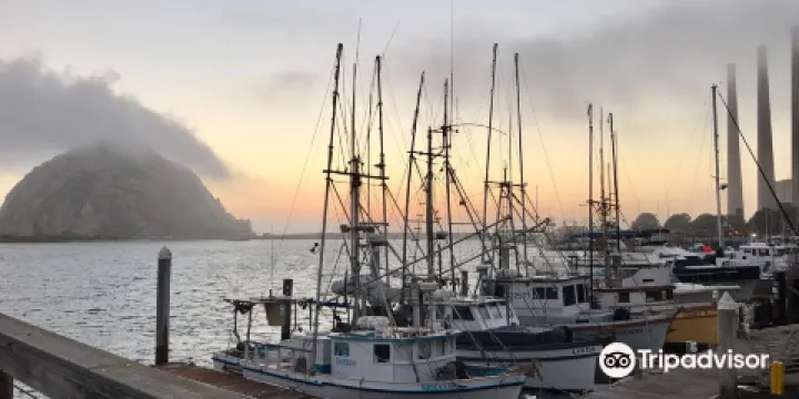 Anchor Memorial Park