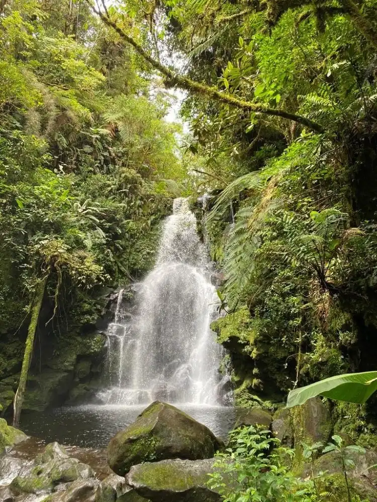 فنادق في San Jose de la Montana