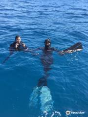 One Breath Freediving