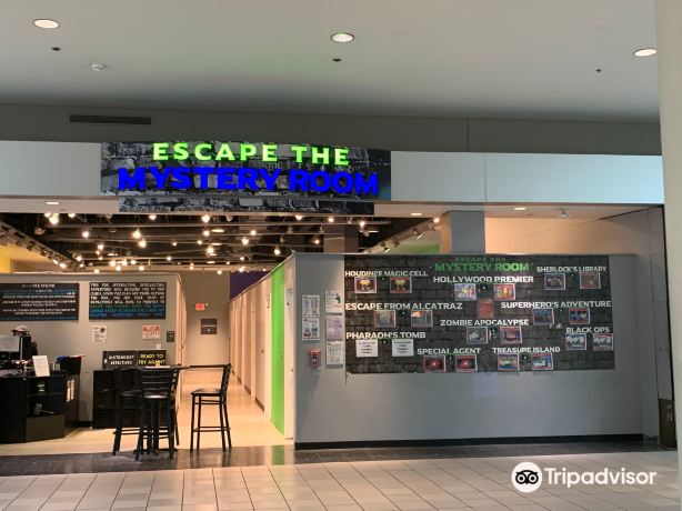Escape the Mystery Room