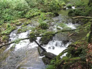 Naturpark Žumberak - Samoborsko Gorje