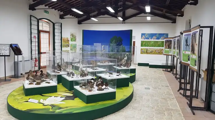 Hotels in Colfiorito