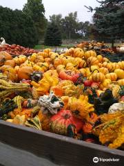 Johnson's Pumpkin Farm