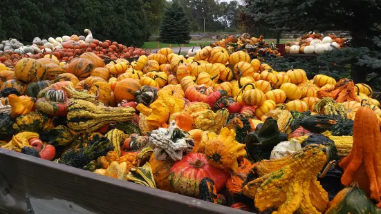 Johnson's Pumpkin Farm