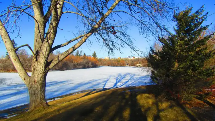 Hotels near Wascana Centre Park