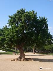 Parc de l'Estacio del Nord