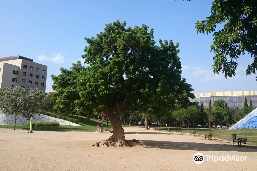 Parc de lestació del Nord