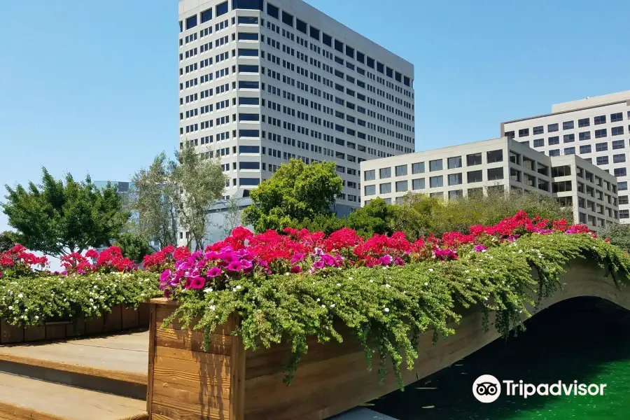 Kaiser Rooftop Garden