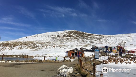 Afriski Mountain Resort