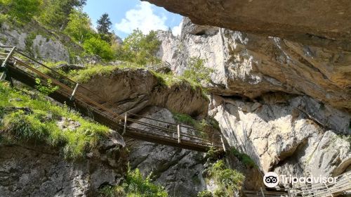 Barenschutzklamm