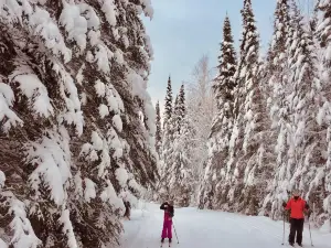 Kamview Nordic Centre