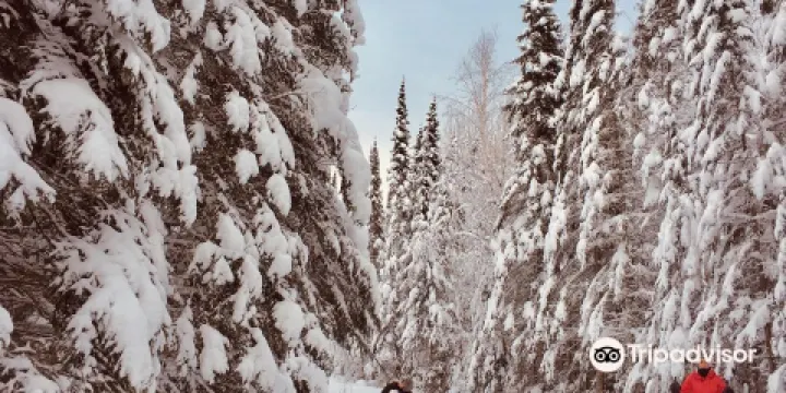 Kamview Nordic Ski Centre