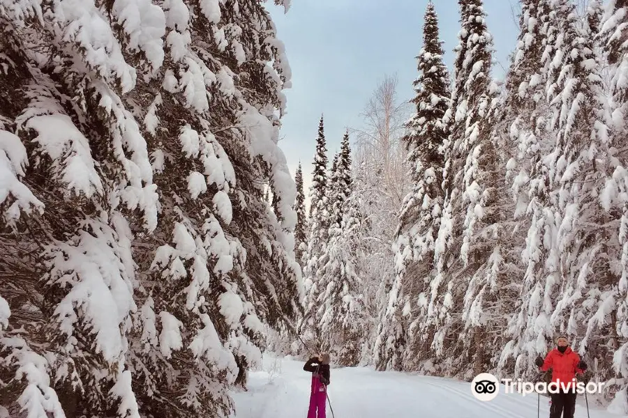 Kamview Nordic Centre