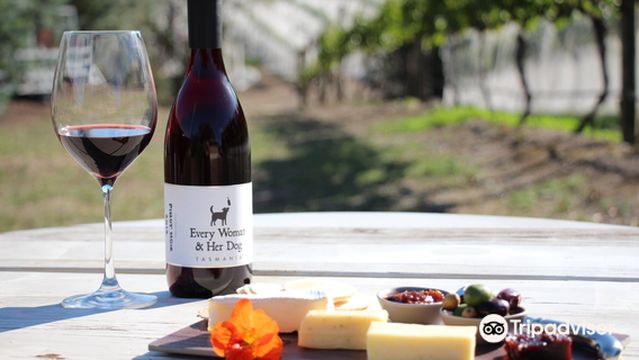 Every Man & His Dog Vineyard