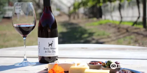 Every Man and His Dog Vineyard