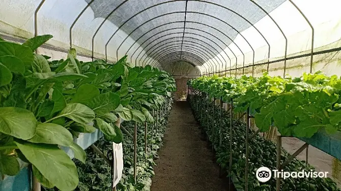 4_Kusuma Agro Wisata