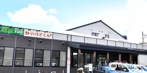 Kitano Tamayura Soen