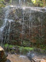 Ferntree Falls