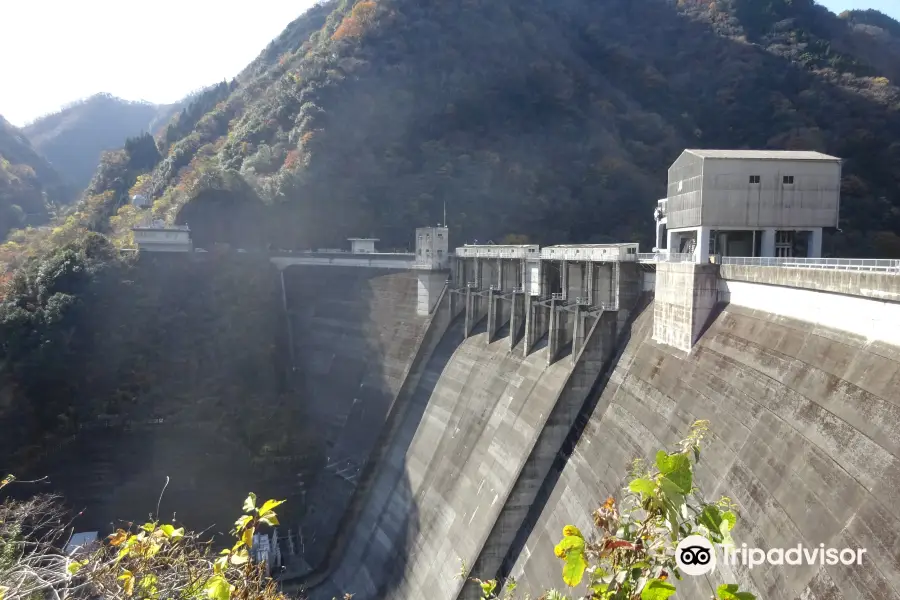 Shin-Nariwagawa Dam