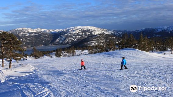 ヴラダル・パノラマ・スキーセンター