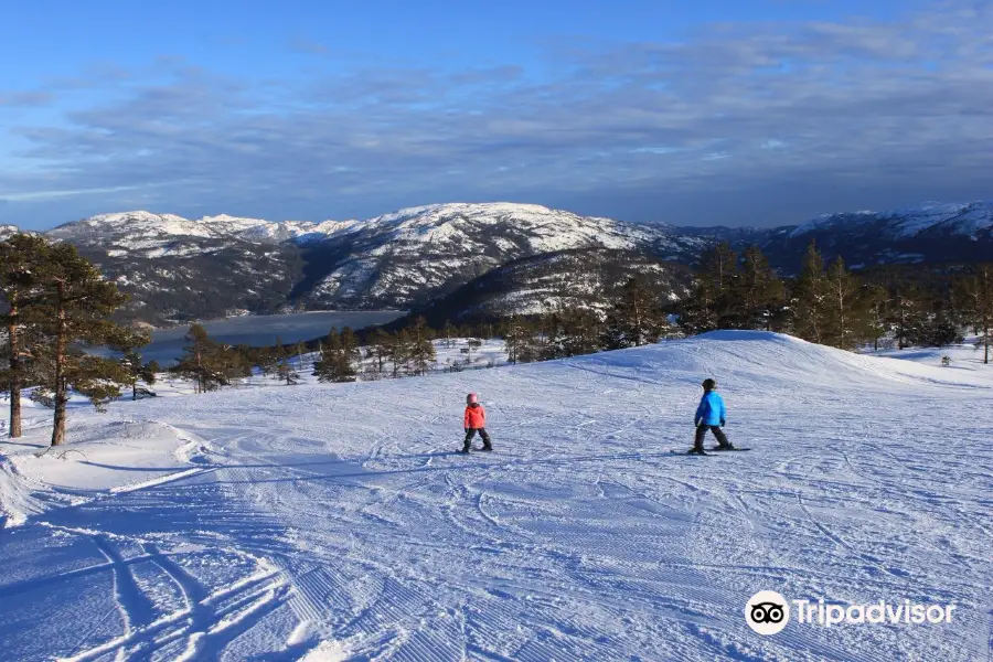 Vradal Panorama Ski Centre