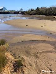 Kawatiri River Trail