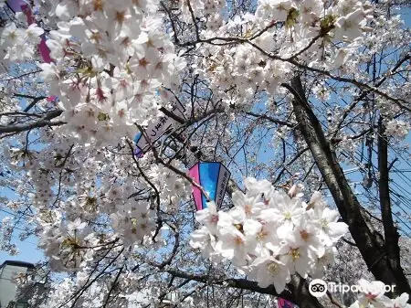 Ookagawa Promenade