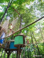 Treetop Trekking Stouffville