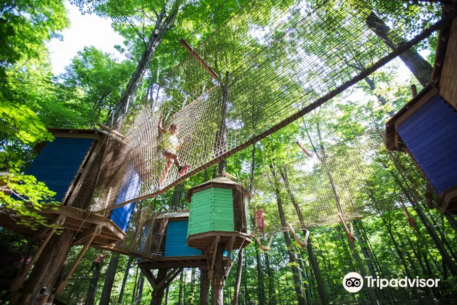 Treetop Trekking Stouffville