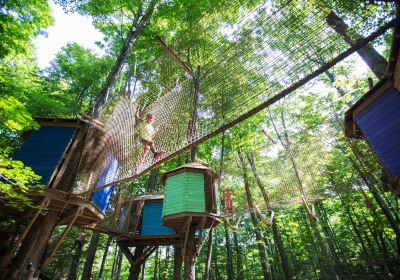 Treetop Trekking Stouffville