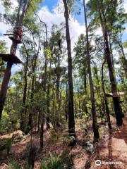 Treetops Adventure Dwellingup