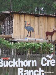 Buckhorn Creek