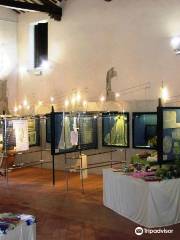 Museo del Tulle